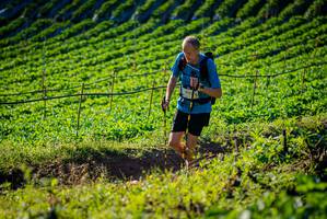 BIB: 
                            <button type="button" onclick="openModal(19160241)" class="btn btn-primary btn-sm float-right btn-popup" data-toggle="modal" data-target=".modal-high-quality">
                        <i class="fas fa-shopping-cart"></i> Add to Cart
                    </button>
                                            <button type="button" onclick="isThisMe(19160241, true)" class="btn btn-success btn-sm float-right btn-popup btn-isme hidden" data-toggle="tooltip" data-placement="bottom" title="นี่คือรูปของคุณใช่ไหม คลิกที่นี่เพื่อเอาเข้าอัลบั้ม">
                        <i class="fas fa-plus"></i> Add to album
                    </button>
                    <button type="button" onclick="isThisMe(19160241, false)" class="btn btn-warning btn-sm float-right btn-popup btn-isnotme hidden">
                        <i class="fas fa-ban"></i> Remove from album
                    </button>